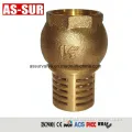 One-Way Check Valve Brass One Way Check Valve as-C007 Supplier